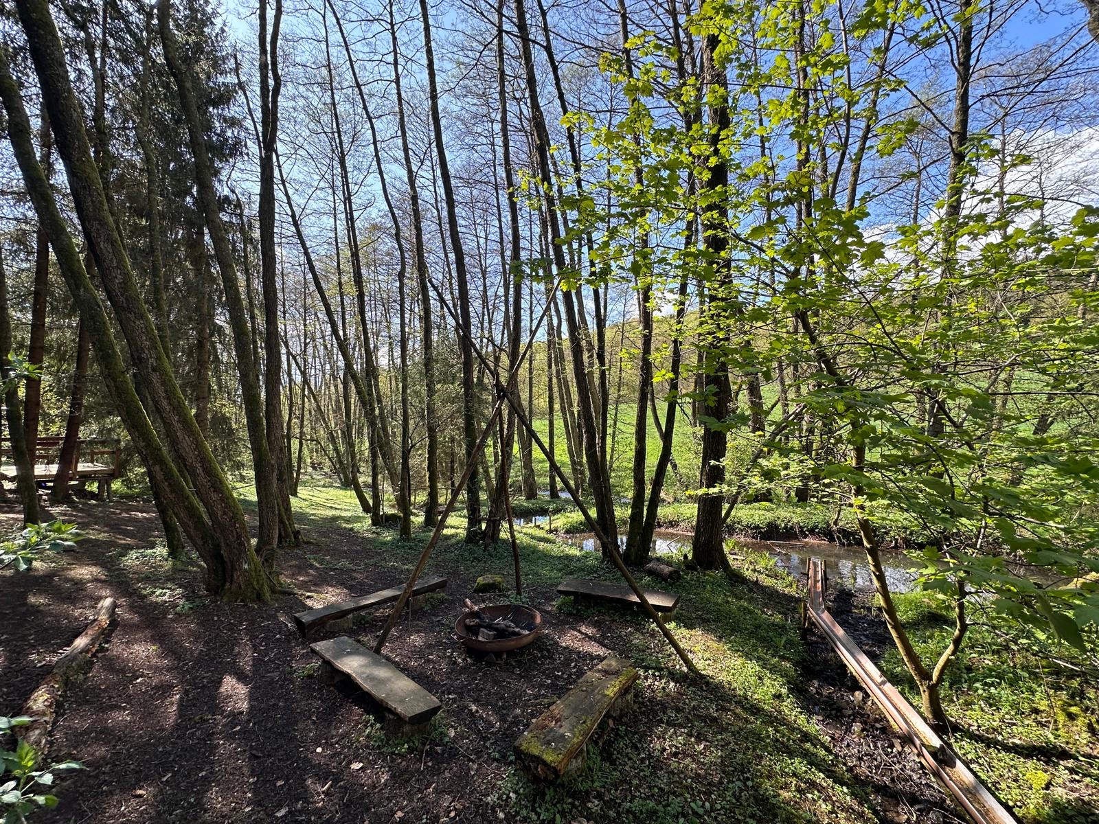 Natur mit Bäumne und der Urbach beim sonnigem Frühlingswetter im Urbachtal Neukirchen