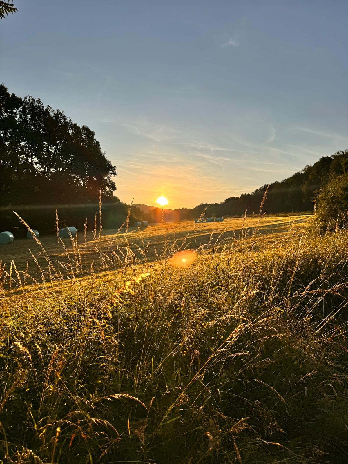 Sonnenaudgang in den Tälern um Neukirchen